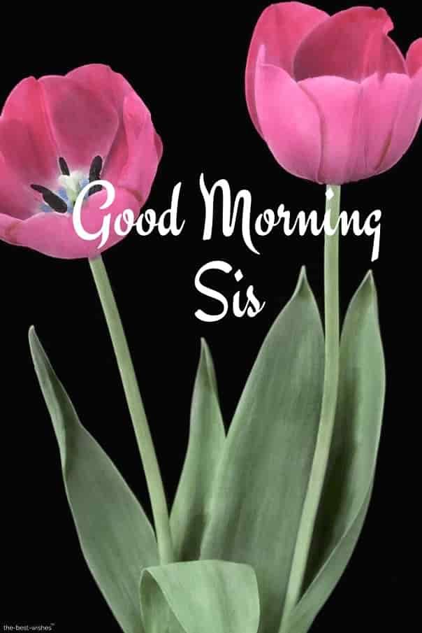 Lovely Good Morning Wish For Sister