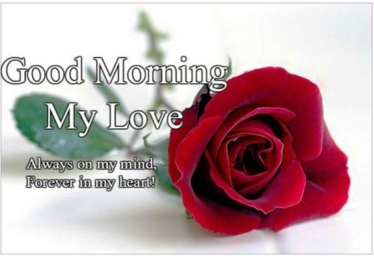 68 Lovely Good Morning Wishes For My Love