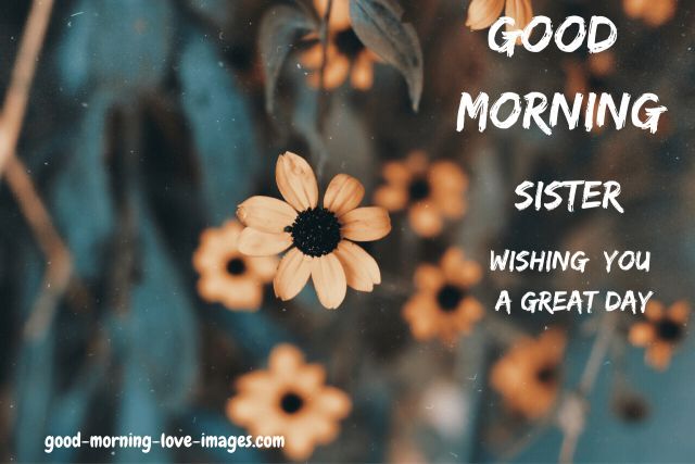 Good Morning Image for Sister