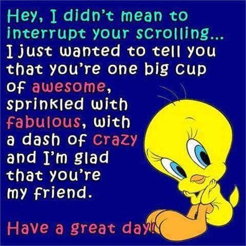 34 Best Good Morning Tweety Bird Photos