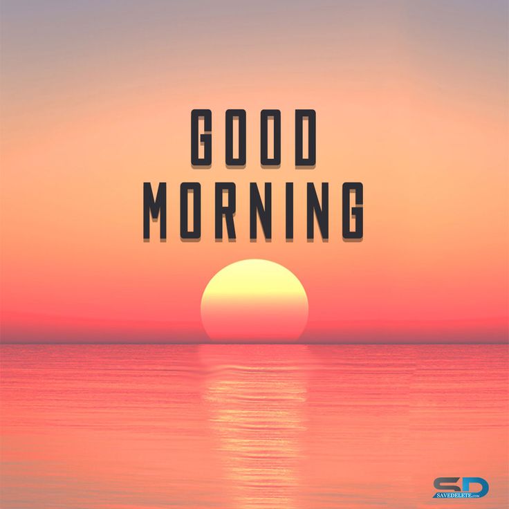 51 Amazing Good Morning Sun Images